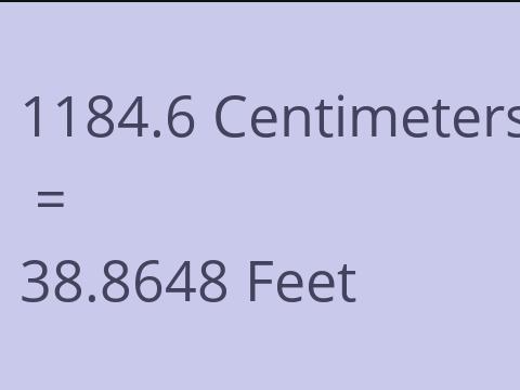 1184.6 CM TO FEET