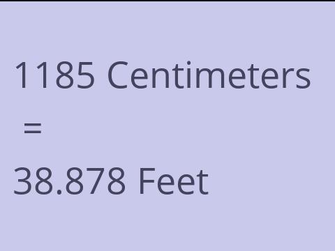 1185 CM TO FEET