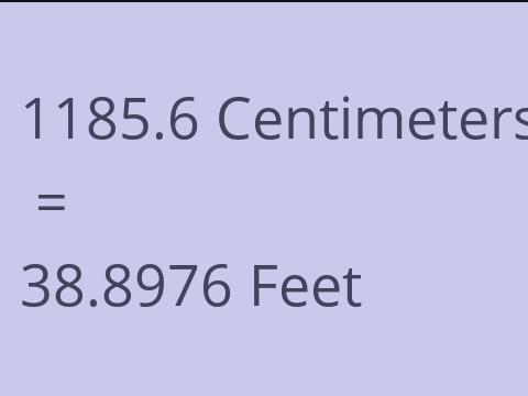 1185.6 CM TO FEET