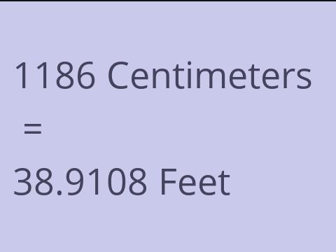 1186 CM TO FEET