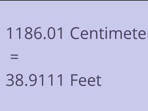 1186.01 CM TO FEET