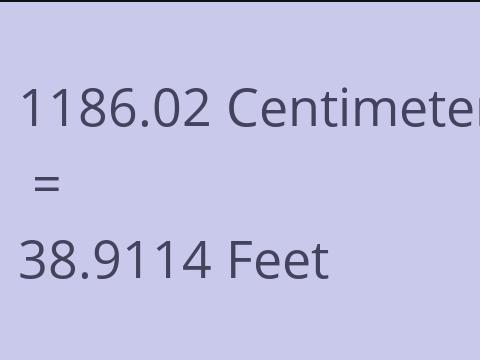 1186.02 CM TO FEET