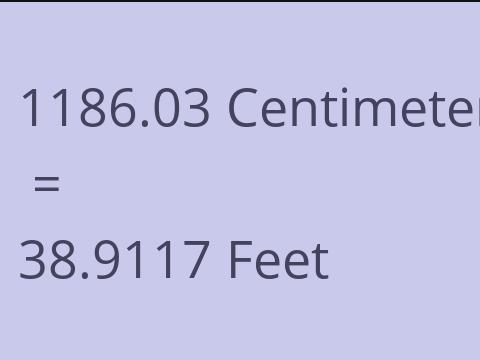 1186.03 CM TO FEET