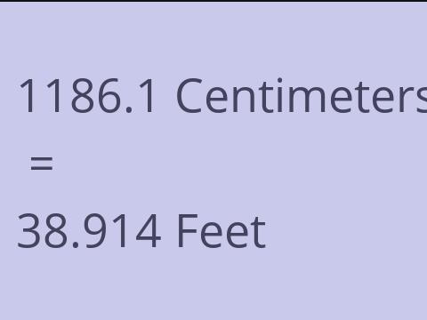 1186.1 CM TO FEET