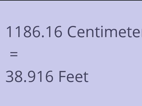 1186.16 CM TO FEET