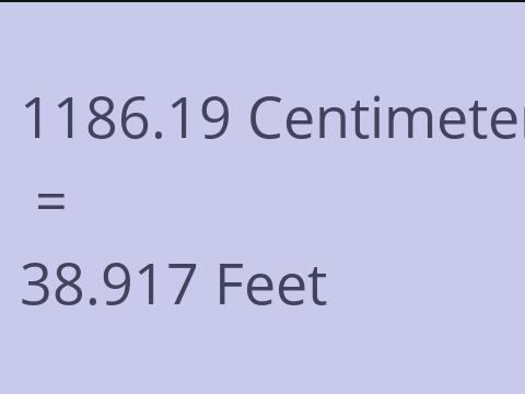 1186.19 CM TO FEET