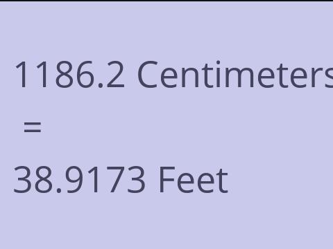 1186.2 CM TO FEET