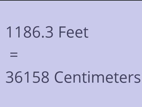 1186.3 FEET TO CM