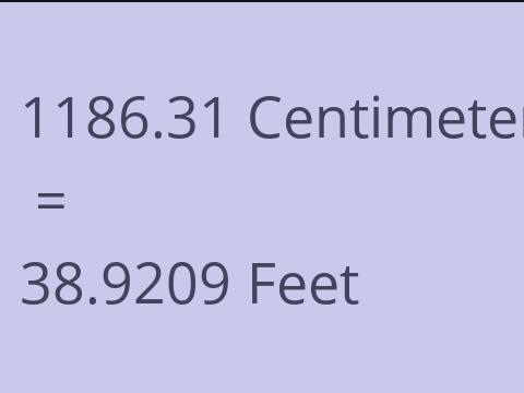 1186.31 CM TO FEET