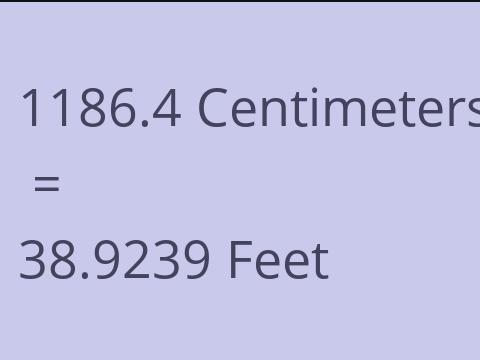 1186.4 CM TO FEET