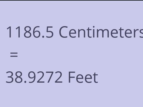 1186.5 CM TO FEET