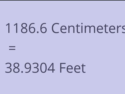 1186.6 CM TO FEET