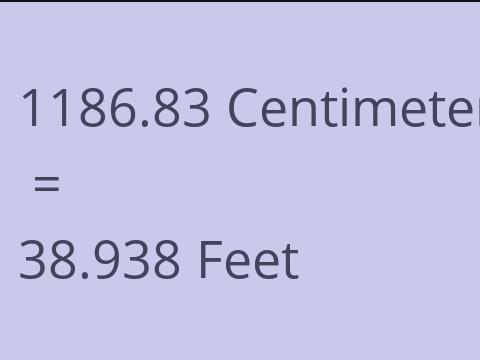 1186.83 CM TO FEET