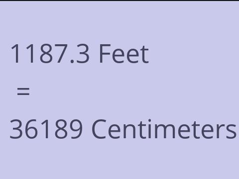 1187.3 FEET TO CM