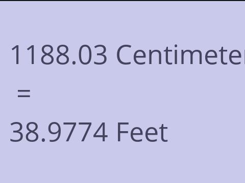 1188.03 CM TO FEET