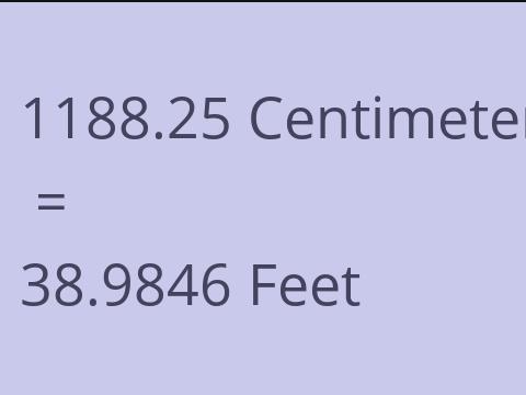 1188.25 CM TO FEET