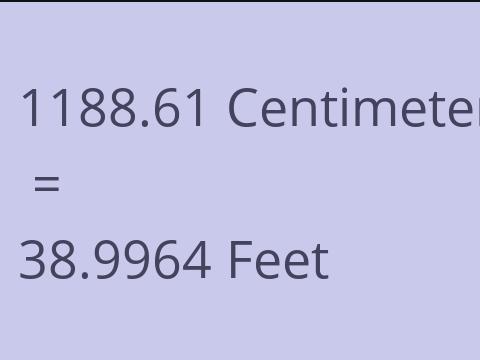 1188.61 CM TO FEET