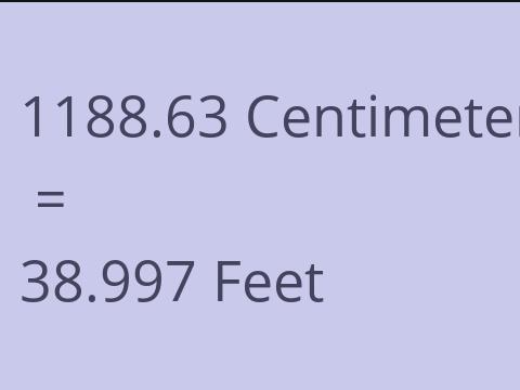 1188.63 CM TO FEET