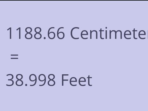 1188.66 CM TO FEET