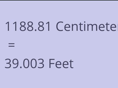 1188.81 CM TO FEET