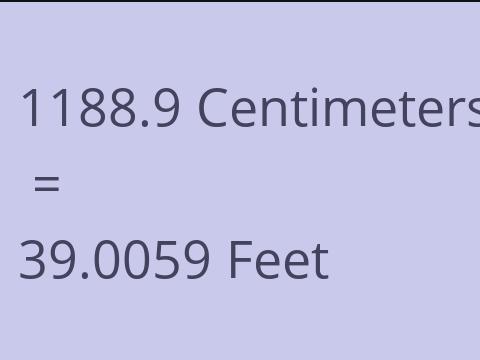 1188.9 CM TO FEET