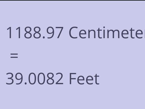 1188.97 CM TO FEET