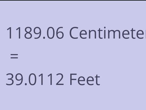 1189.06 CM TO FEET