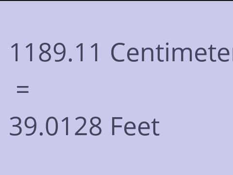 1189.11 CM TO FEET