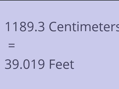 1189.3 CM TO FEET