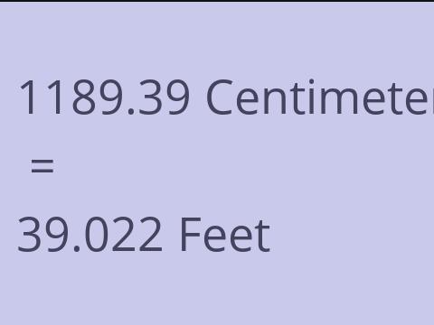 1189.39 CM TO FEET