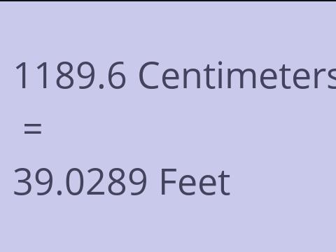 1189.6 CM TO FEET