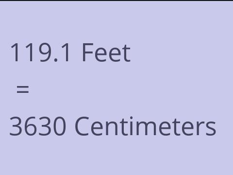 119.1 FEET TO CM