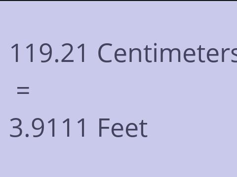 119.21 CM TO FEET