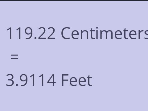 119.22 CM TO FEET