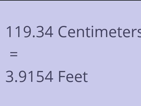 119.34 CM TO FEET