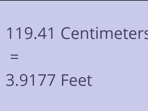 119.41 CM TO FEET