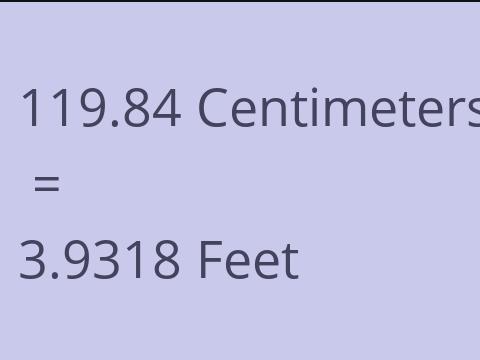 119.84 CM TO FEET