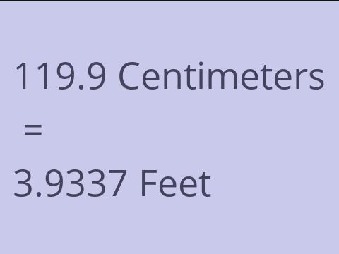 119.9 CM TO FEET