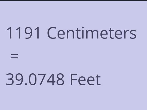 1191 CM TO FEET