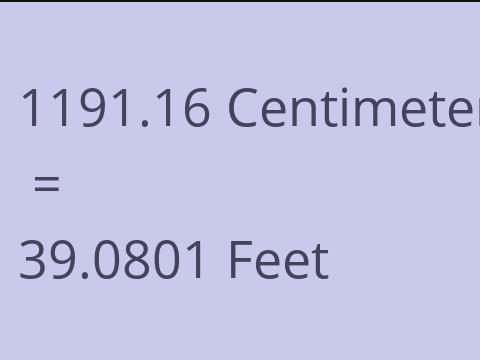 1191.16 CM TO FEET