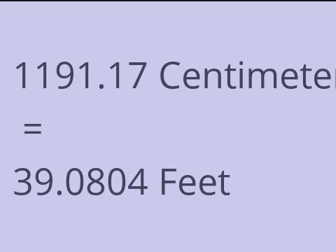 1191.17 CM TO FEET