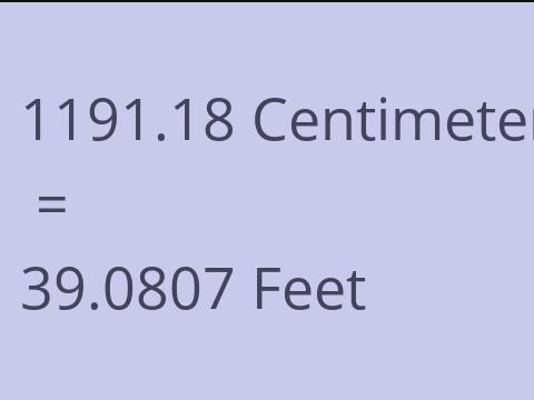 1191.18 CM TO FEET