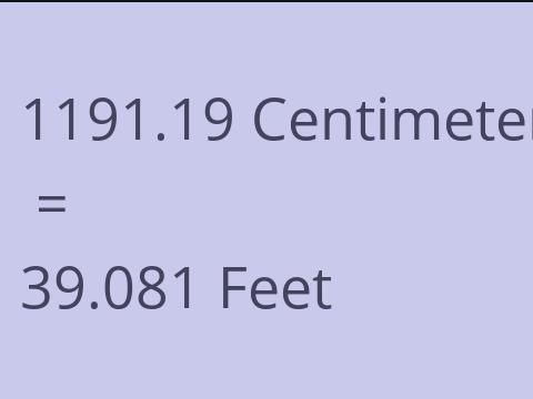 1191.19 CM TO FEET