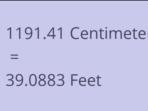 1191.41 CM TO FEET