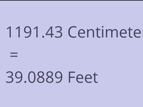 1191.43 CM TO FEET