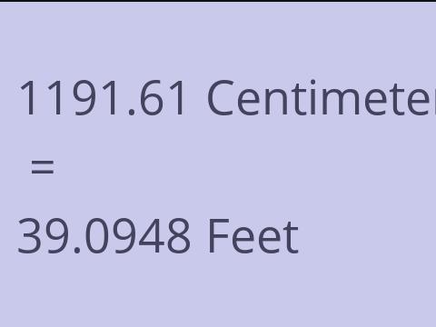 1191.61 CM TO FEET