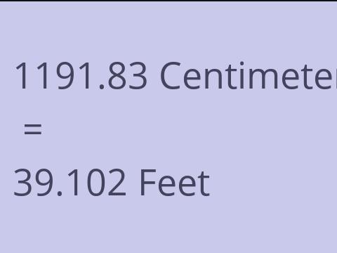 1191.83 CM TO FEET