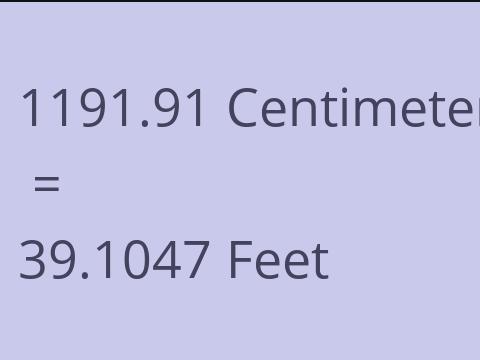 1191.91 CM TO FEET