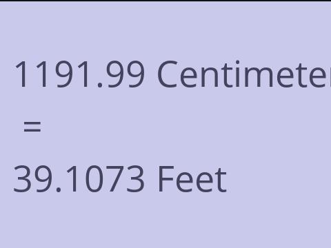 1191.99 CM TO FEET