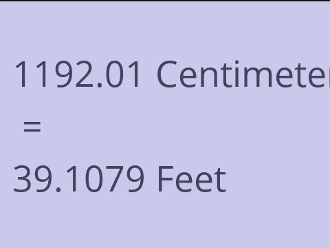 1192.01 CM TO FEET